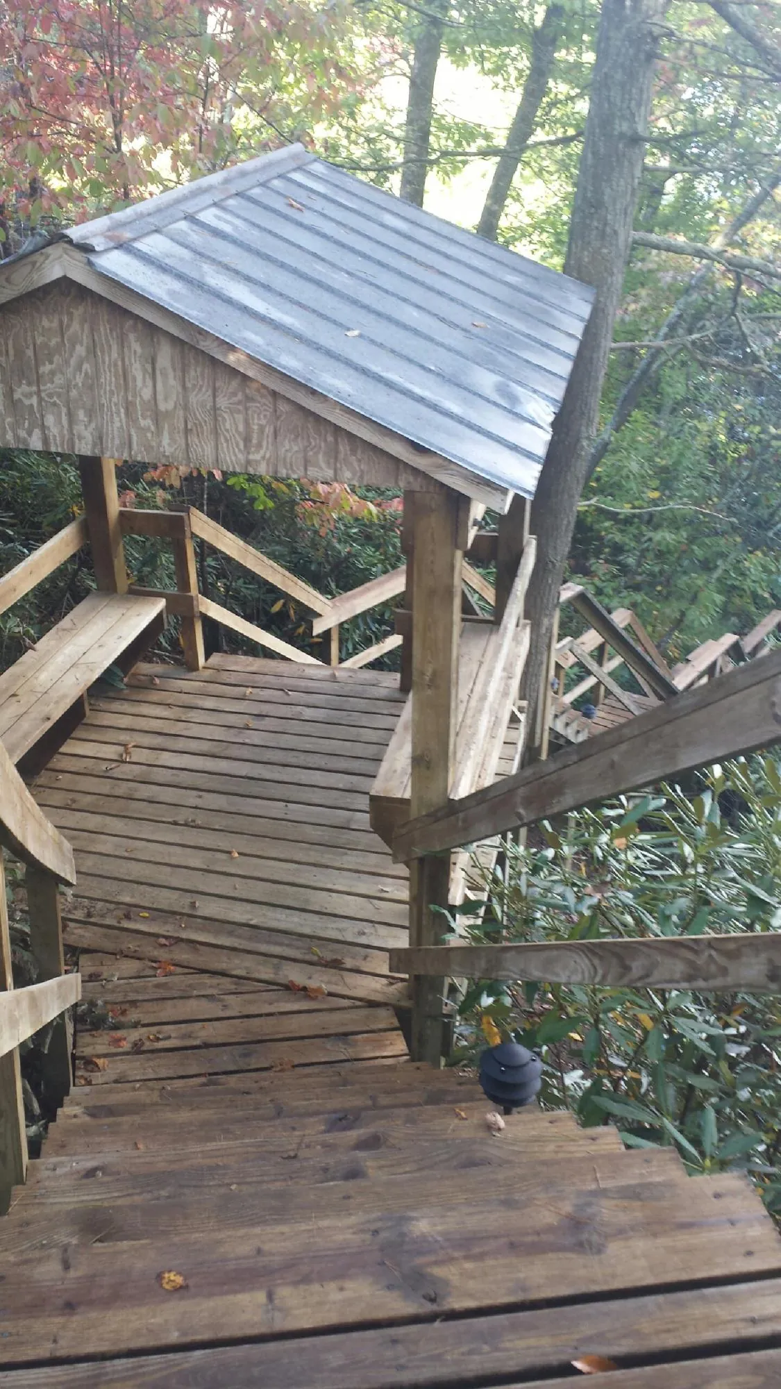 Metal roofed shelter over wooden steps on a wooded walkway — Skylight Repair & Installation work by our crew in Madera